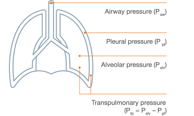 auxiliary pressure.png