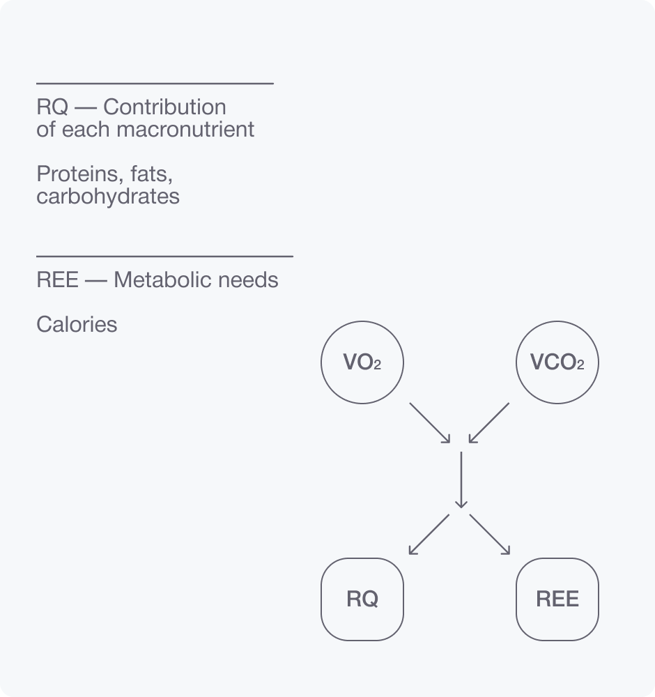 Evaluation of patient‘s metabolic needs