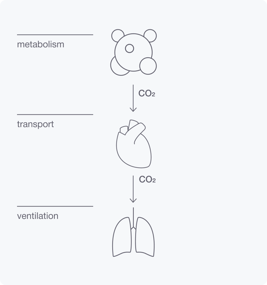 Capnometry and volumetric capnometry